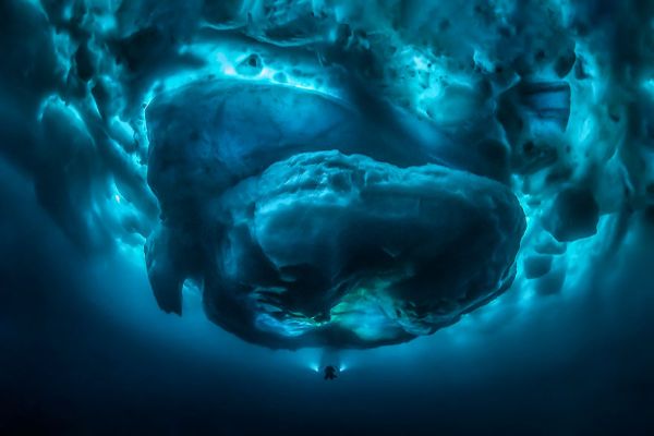 najbolje-podvodne-fotografije-2020-godine