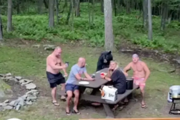 divlji-crni-medved-se-iznenada-pridruzio-ljudima-na-pikniku