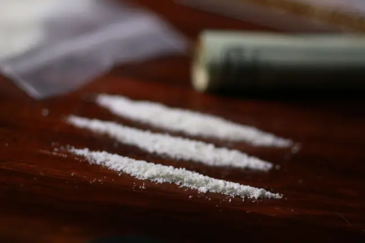 Porodični biznis: Vremešna žena dilovala kokain sa svojim sinom