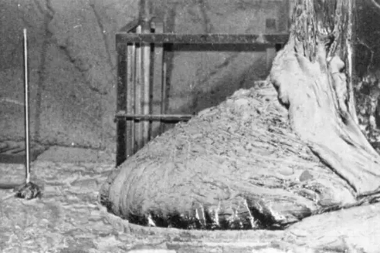 slonova-noga-u-podrumu-cernobiljskog-reaktora-cetiri
