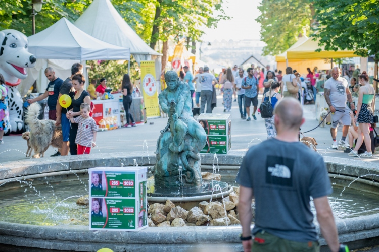 festival-pasa-svih-rasa-3