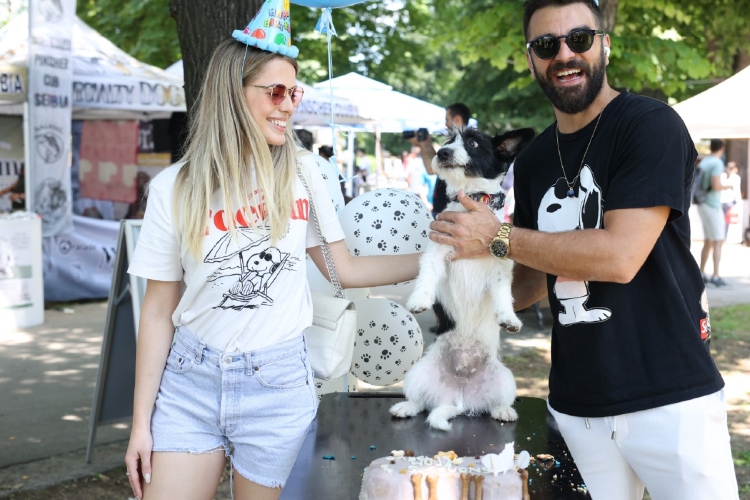 odrzan-drugi-po-redu-festival-pasa-svih-rasa-ulicni-psi-na-kalemegdanu-9