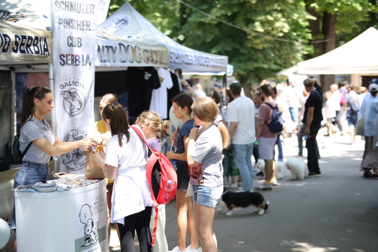 odrzan-drugi-po-redu-festival-pasa-svih-rasa-ulicni-psi-na-kalemegdanu-11