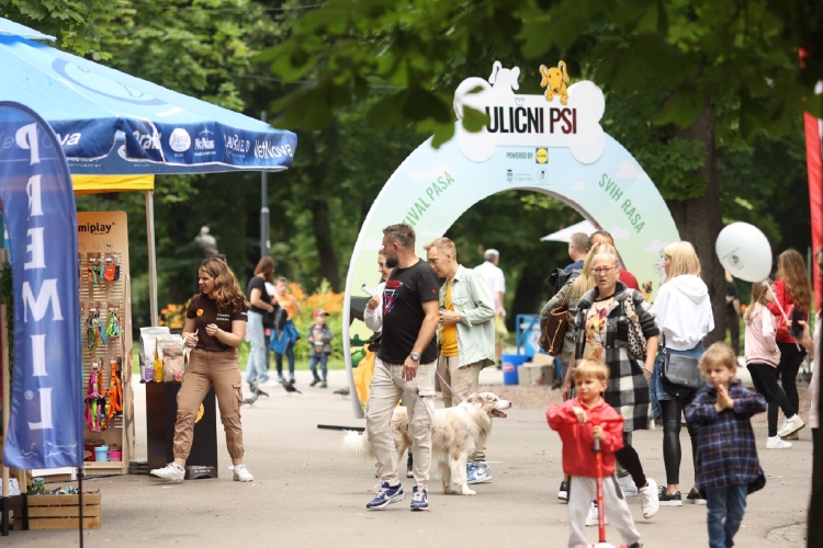 odrzan-drugi-po-redu-festival-pasa-svih-rasa-ulicni-psi-na-kalemegdanu-13