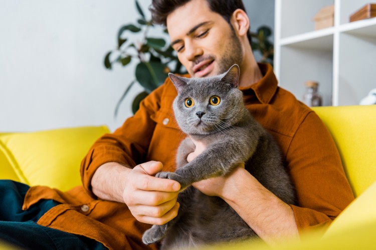 5 stvari koje morate znati ako prvi put uzimate mačku