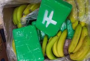 Radnje u Češkoj zajedno sa bananama dobile isporuke kokaina