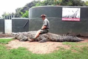 Radnika zoološkog vrta napala dva krokodila pred prestravljenim posetiocima