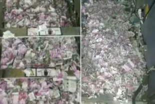 Pacov upao u bankomat uništio više od 17.000 dolara i uginuo