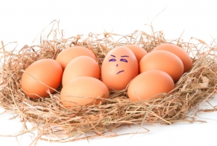 4 načina da proverite da li su jaja pokvarena