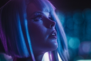 Seks roboti sa funkcionalnim genitalijama