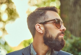 LUDILO: Naučnici tvrde da je brada zaštita koja spašava život u borbi