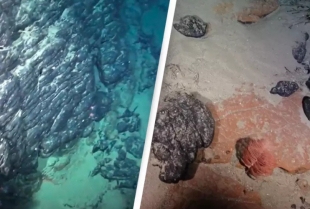 Naučnici otkrili davno izgubljeno ostrvo bogato retkim mineralima