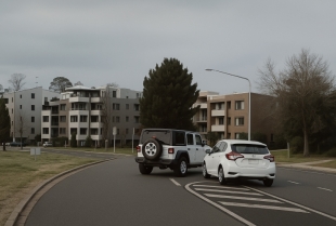 Topla australijska ljubavna priča - Dve dame u odvažnoj akciji oslobodile robijaša